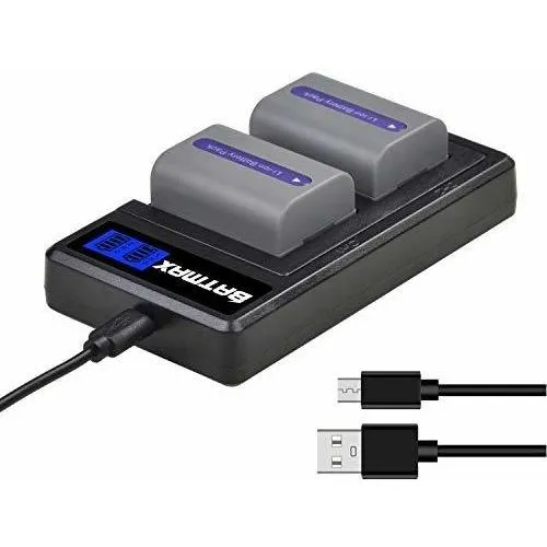 2 Paquete 1250mah Np Fp50 Usb Lcd Dual Cargador Para So...