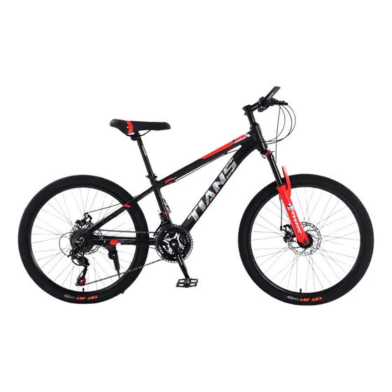 Bicicleta Tians Rin 20 Aluminio + Shimano Revoshift