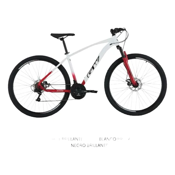 Bicicleta Gw Titan Rin 29 Mtb Freno De Disco + Obsequio