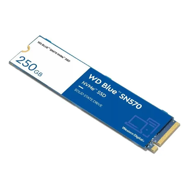 Unidad De Estado Solido Interno Western Digital Blue 250 Gb