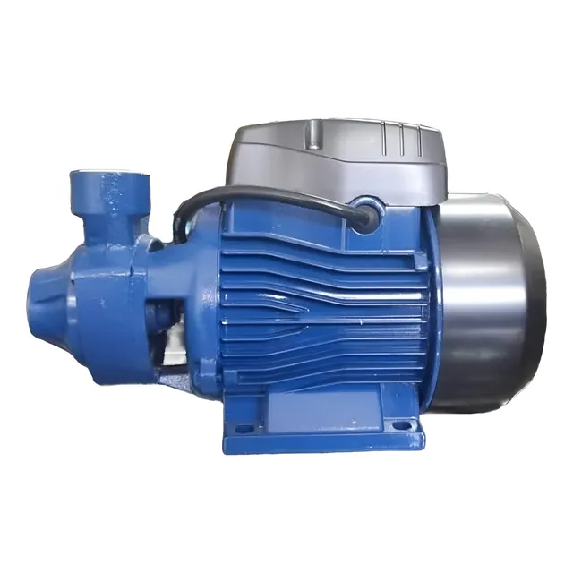 Bomba De Agua Periférica 1 Hp 750w 110v Griven